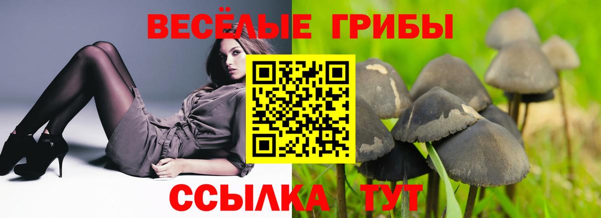 Галлюциногенные грибы MAGIC MUSHROOMS  Вход с VPN  Балашиха  Псилоцибиновые грибы мицелий 